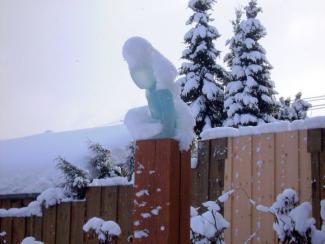 69543_173931485963089_1702355_n_0